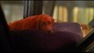 Clifford der große rote Hund - Trailer (Deutsch) HD