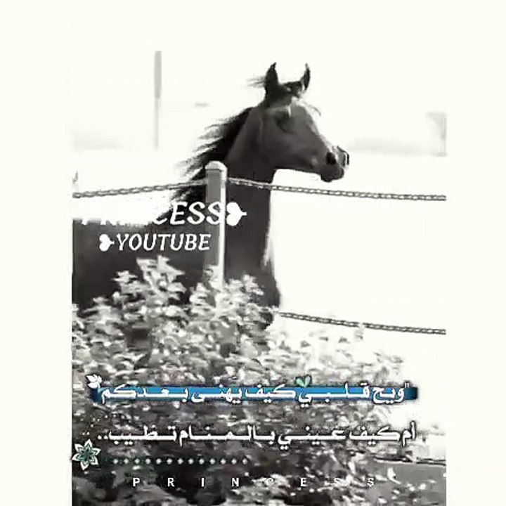 videoplayback (1)