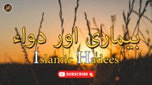 Bemaari Or Dawa | Sunnat e navabi | Deen | Islam | Hadees | HD Video