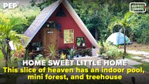 This tiny house has indoor pool, mini forest, treehouse all built for PHP350,000