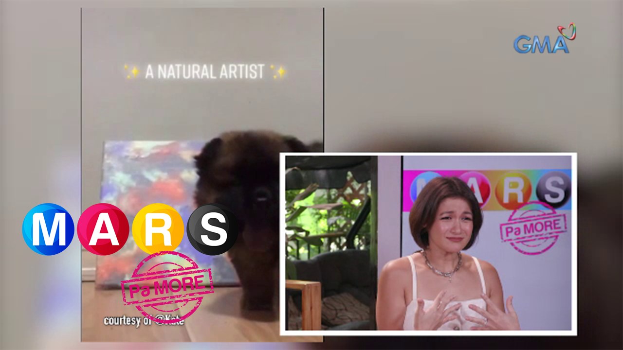 Mars Pa More: PETmalu na puppy, kayang gumawa ng obra maestra?! | Nakita Mo Ba ‘Yun Mars?