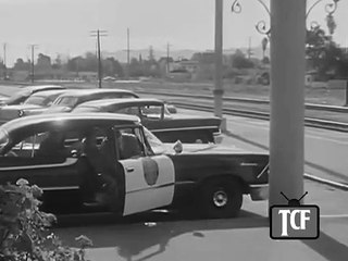 Highway Patrol 54 In Framed Cop