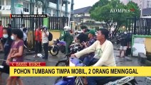 Dua Pegawai RS Haji Adam Malik Medan Tewas Tertimpa Pohon Tumbang