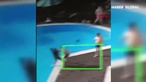 Köpeğini tekmeleyen saldırganı havuza attı