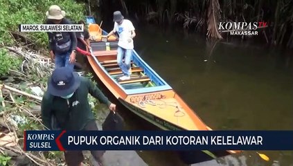 Pupuk Organik Dari Kotoran Kelelawar
