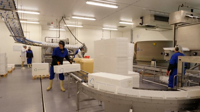 Les élevages de saumons rejoignent le plancher des vaches