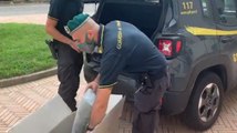 Varese - Soldi della droga riciclati in cooperative logistica: 2 arresti (30.06.21)