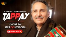 Pashto New Tappay | Haroon Bacha | Pashto Audio Song | Spice Media