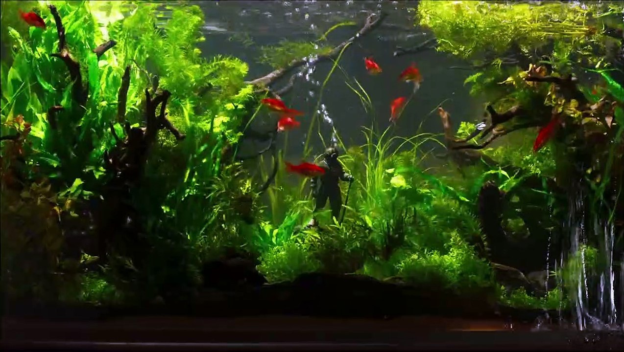 Undine (2020) _ Trailer