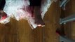 Till Death Trailer #1 (2021) Megan Fox, Eoin Macken Thriller Movie HD