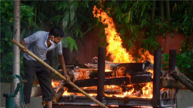 Ex-gratia for Covid deaths: Here's what SC said