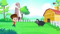 Baa baa moutons noir - bébé rime - Chansons pour enfants - Nursery Rhymes - Baa Baa Black Sheep