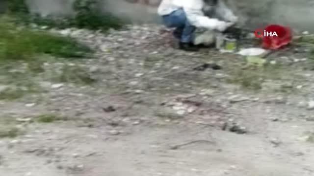 Son dakika! Arılarla başı dertte olan mahalleliyi polis kurtardı