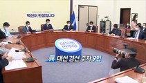 [영상구성] 민주당 대선 경선 레이스 본격 개막