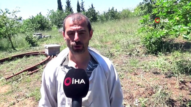 Arılarla başı dertte olan mahalleliyi polis kurtardı