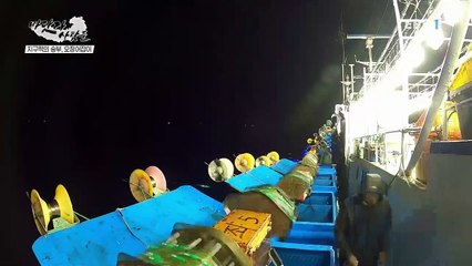 바닷가 사람들 - 어화(漁火) 둥둥, 오징어가 돌아왔다_#002