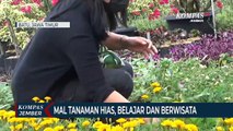 Berbelanja Sambil Wisata Di Mal Tanaman Hias