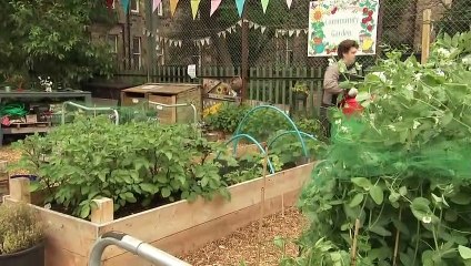 Queen visists children's wood project