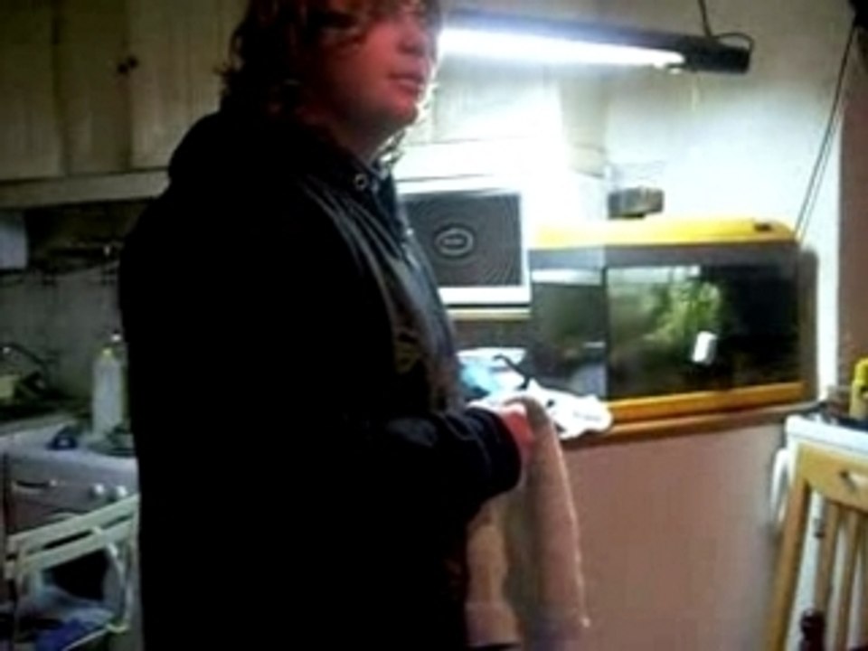 CHEZ NICO