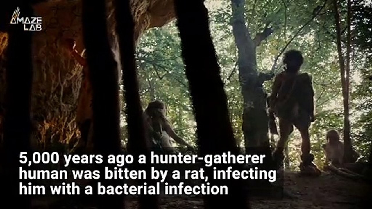 Black Plague Evolved Over Thousands of Years To Become a More Deadly Pandemic