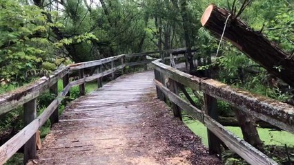 Passerelle du territoire du ruisseau Saint-Jean
