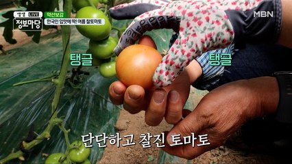 횡성에서 자라는 제철 식재료를 찾아서~!