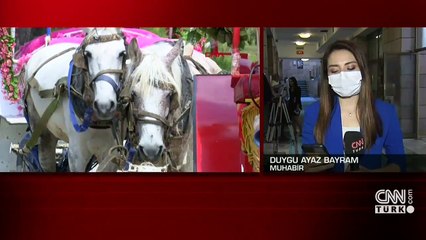 SON DAKİKA: Hayvan hakları yasası geliyor