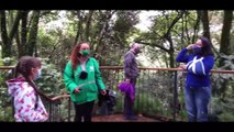 Jardín Botánico de Bogotá Colombia co  | Turismo ecológico en la ciudad