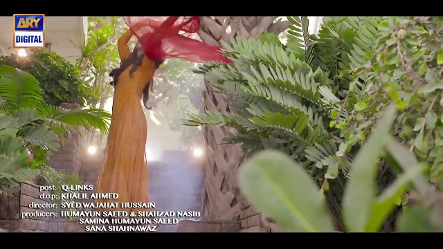 Do Bol Official OST - Nabeel Shaukat & Aima Baig - ARY Digital_2