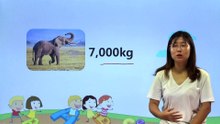 173与体貌信息相关的词语|小学英语|知识点|六年级下