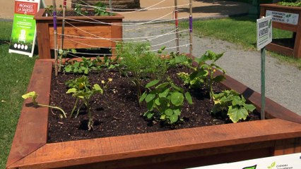 SU_WEB FamilleCP RDL 2021-06-29