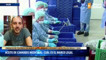 Aceite de cannabis medicinal cuál es el marco legal