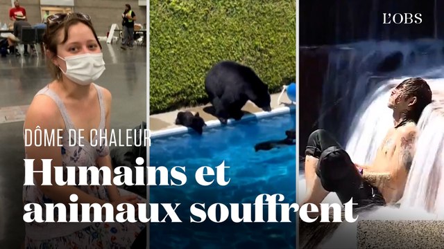 Le dôme de chaleur qui frappe le Canada et les Etats-Unis en 5 images marquantes