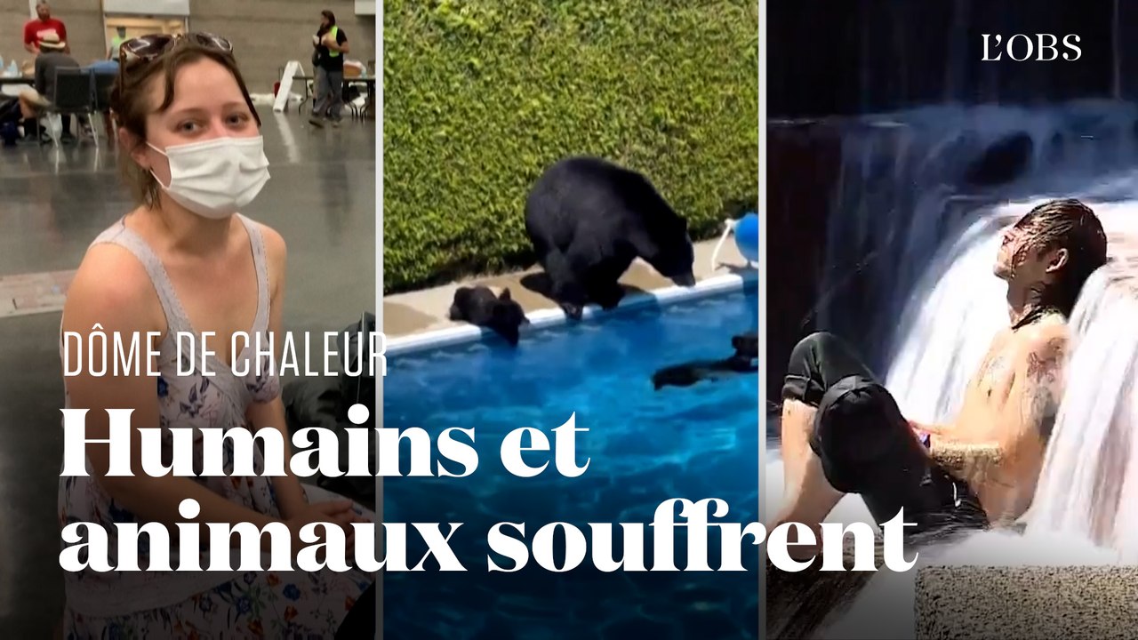 Le "dôme de chaleur" qui frappe le Canada et les Etats-Unis en 5 images marquantes