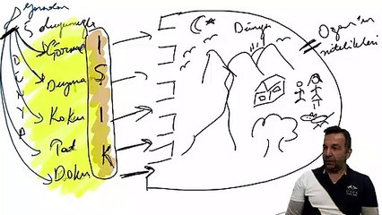 İnsan diye bir şey yok mu?