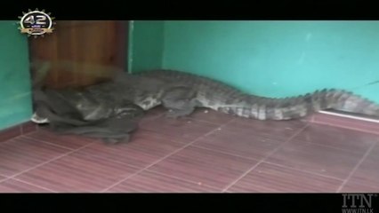 Atapattama – 2021-06-30