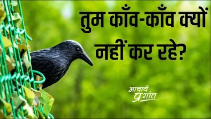 तुम काँव-काँव क्यों नहीं कर रहे? #shorts