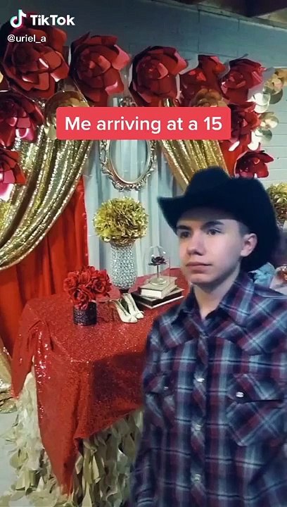 Tiktok Boss B*Tch Compilation (Celebrity Glambot Red Carpet Slow Motion)