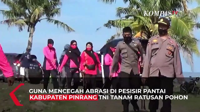 Menjaga Pesisir Pantai TNI Tanam Mangrove di Pantai Ammani