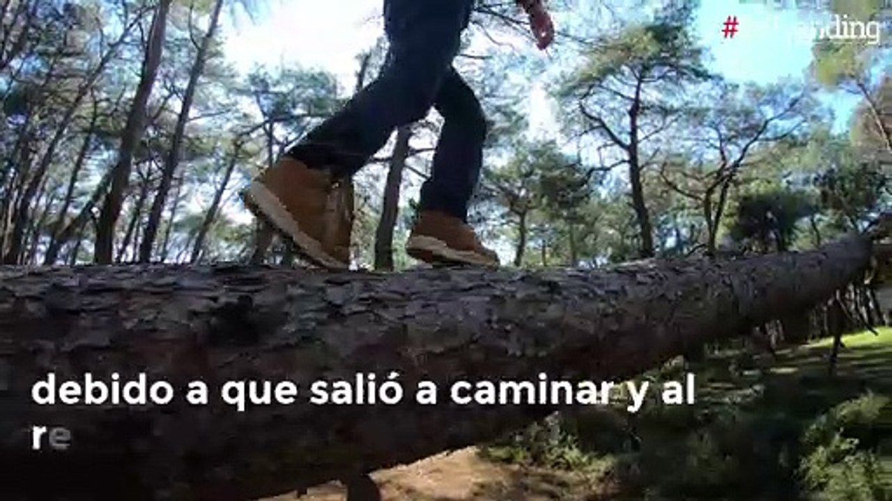 Niño de 4 años salió a caminar al bosque y regresó a casa con un venado bebé como mascota