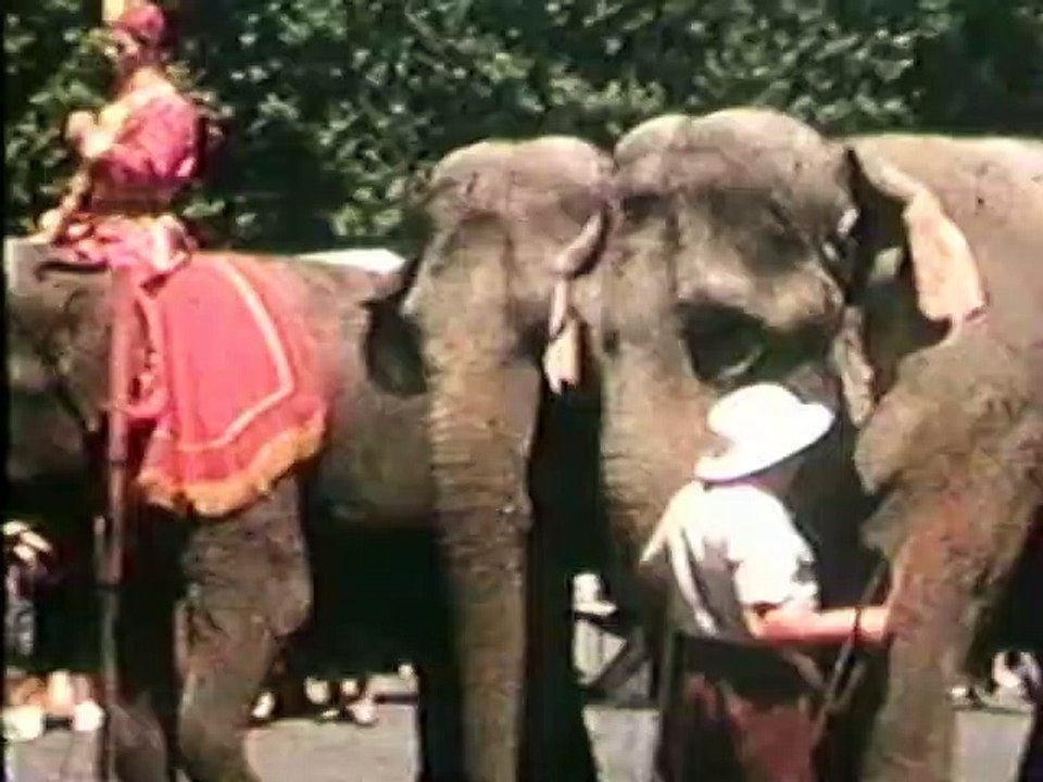 Voyages Et Bals costumes