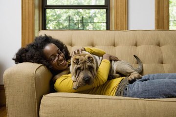 Why Do Dogs Like to Cuddle So Much?