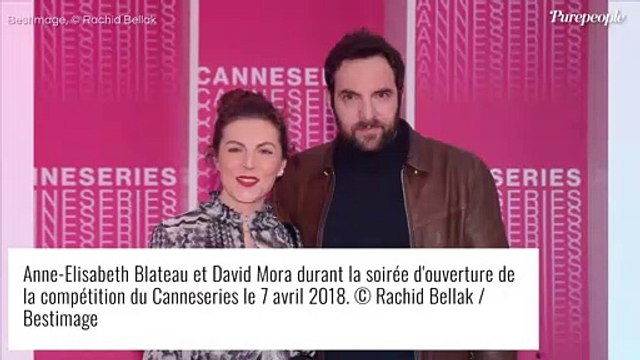 Anne-Elisabeth Blateau (Scènes de ménages) : Alcool, altercation avec la police... elle finit à l'hôpital