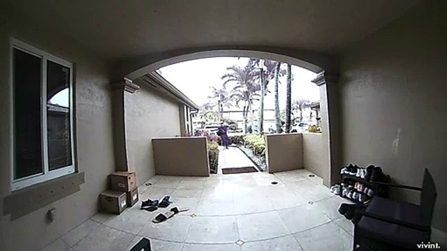 Angry Bird Swoops into Entryway