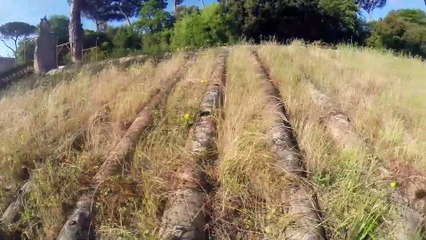Roma, da magazzino a "Macchina del Tempio": così rinasce il gioiello del museo etrusco