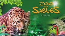 Visite au Zoo des Sables D ' Olonne ( Vendée ) , Dimanche 27 Juin 2021