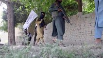 Afghanistan : Italie et Allemagne achèvent le retrait de leurs troupes