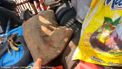 Vespa Extreme Mengerikan