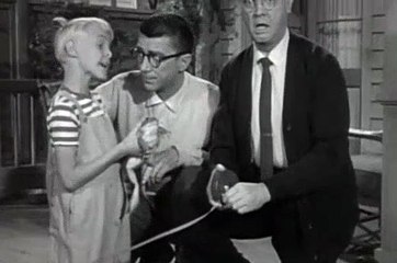 Dennis the Menace Season 3 Episode 18 Frog Jumping Contest