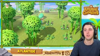 L'Isola Dei Bambù... Finalmente! - Animal Crossing: New Horizons Ita #15 - Day 6